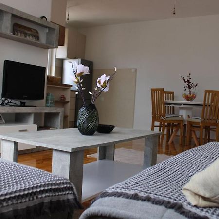 טרביניה Apartman Sunny Day מראה חיצוני תמונה